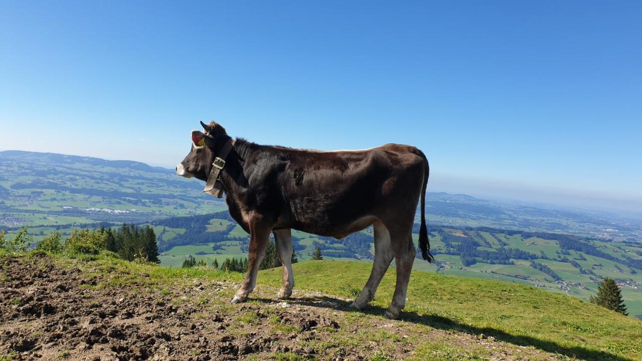 Weitnau Allgaeu Bergluft מראה חיצוני תמונה