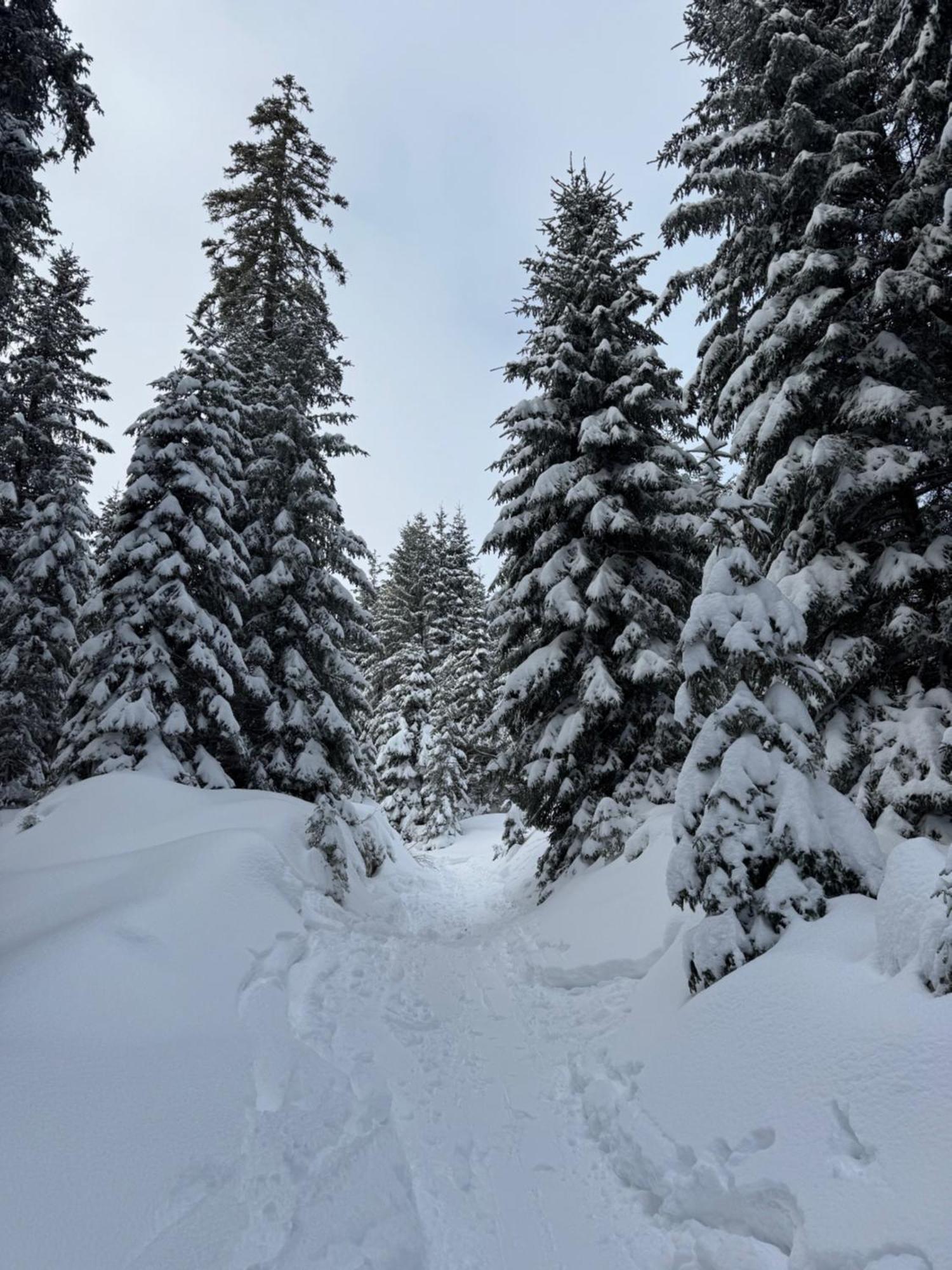 Weitnau Allgaeu Bergluft מראה חיצוני תמונה