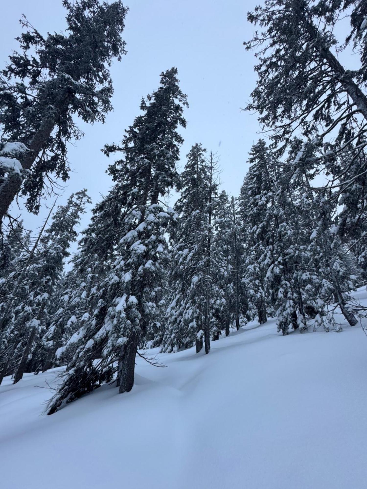 Weitnau Allgaeu Bergluft מראה חיצוני תמונה