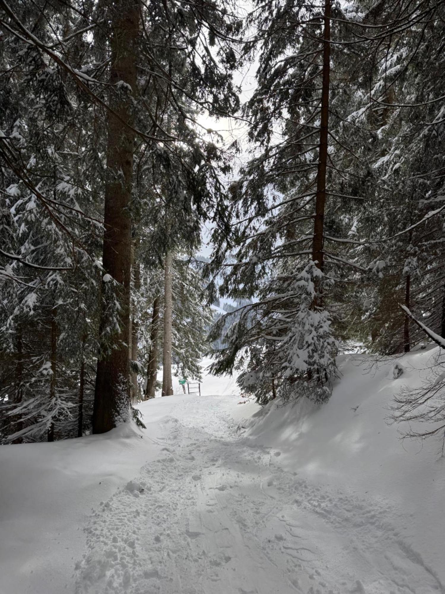 Weitnau Allgaeu Bergluft מראה חיצוני תמונה