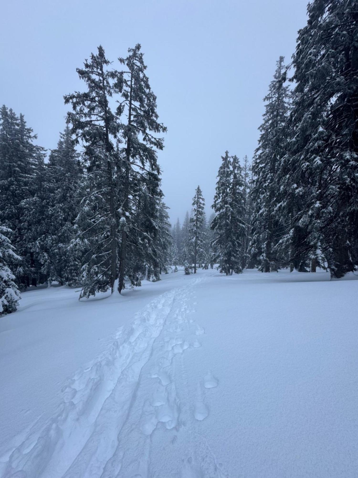 Weitnau Allgaeu Bergluft מראה חיצוני תמונה